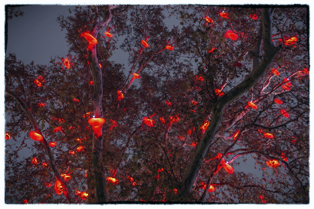 Tree Of Hearts